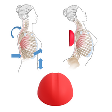Load image into Gallery viewer, LittleMum Thoracic Flex Stretcher for Costochondritis and TOS
