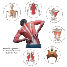 Load image into Gallery viewer, LittleMum Back Trigger Point Massager
